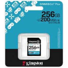 Kingston Sdg4/256gb Sdxc Canvas go Kingston Sdg4/256gb Sdxc Canvas go