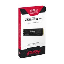 Kingston Ngff 1t Fury Reneg G5