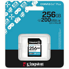 Kingston Sdg4/256gb Sdxc Canvas go