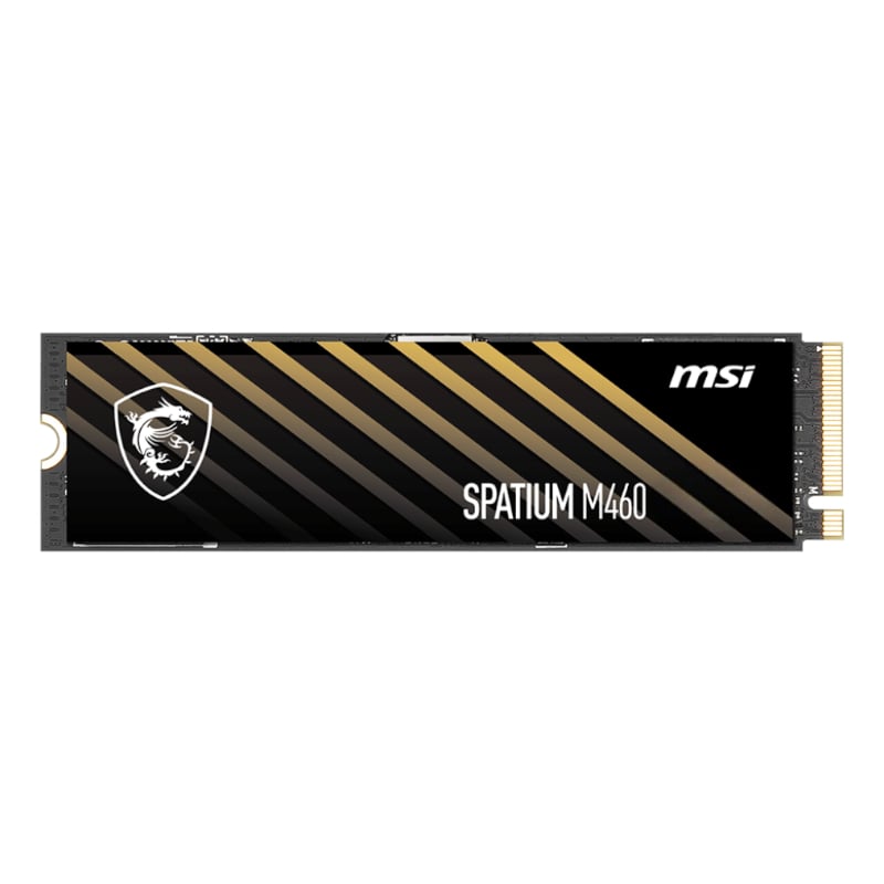 Spatium M460 M.2 Nvme Gen 4 1tb