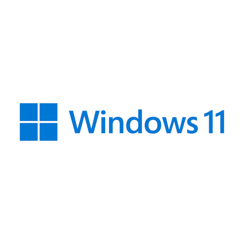 Microsoft Win 11 Pro 64bit Dsp
