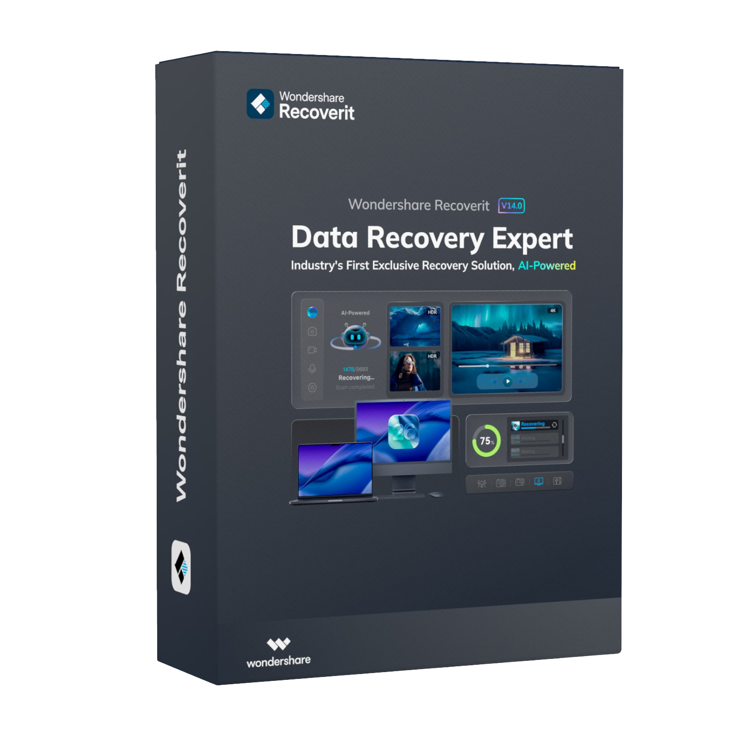 Wondershare Recoverit Data Recovery Expert For Windows Individual (Digital Perpetual License)