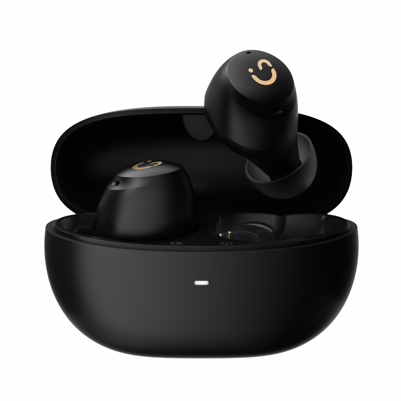 Winx Vibe Active 2 Hybrid Anc Earbuds