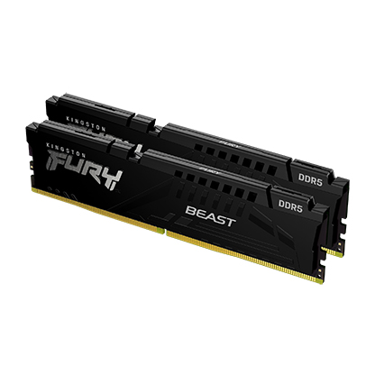 Kingston Fury Beast With Heatsink Kf556c36bbek2-16 - Ddr5-5600 (Pc5-44800)  8gb X2 Dual Kit - Expo Optimized For Amd Ryzen + Intel Xmp ( Extreme Memory Profiles ) Cl36 - 288pin Single Rank 38.4gb/Sec Memory Bandwidth Built-In Ecc 1.25v With Built-In P
