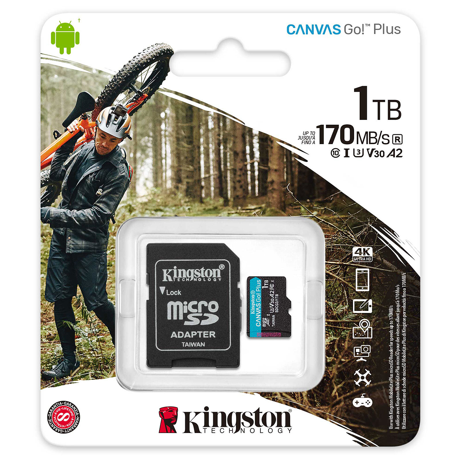 Kingston Sdcg3/1tb Micro Sdxc Canvasgo Memory Card
