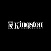 the kingston logo