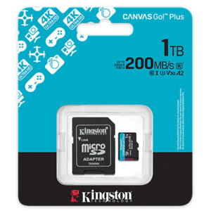 Kingston Sdg4/1tb Sdxc Canvasgo