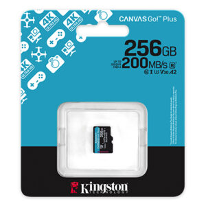 Kingston Sdcg4/256gb Microsdxc Canvas Go