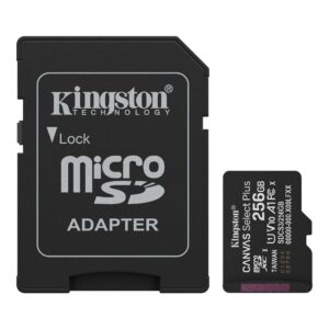 Kingston SDCS3/256GB miCro sdXc Canvasp