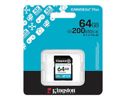 Kingston Sdg4/64gb Sdxc Canvasgo